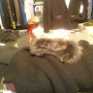 Meet your Posher, Dean